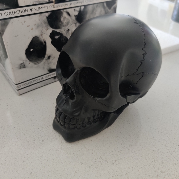 Black Skull - Picture 2 of 3